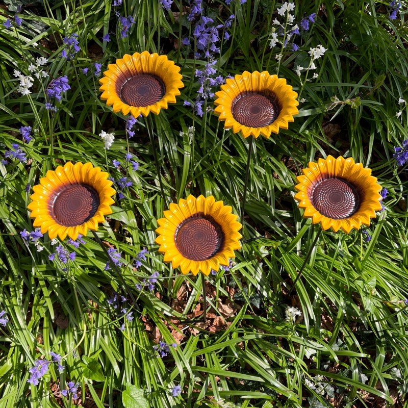 Bring a Splash of Sunshine to Your Yard with a Sunflower Bird Feeder