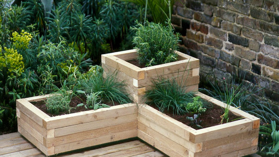 Planters: The Importance of Container Gardening