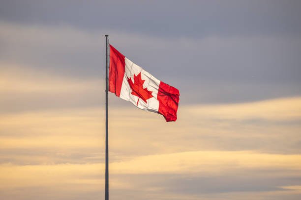 How to Write a Reference Letter for Canadian Immigration [Brief Guide]