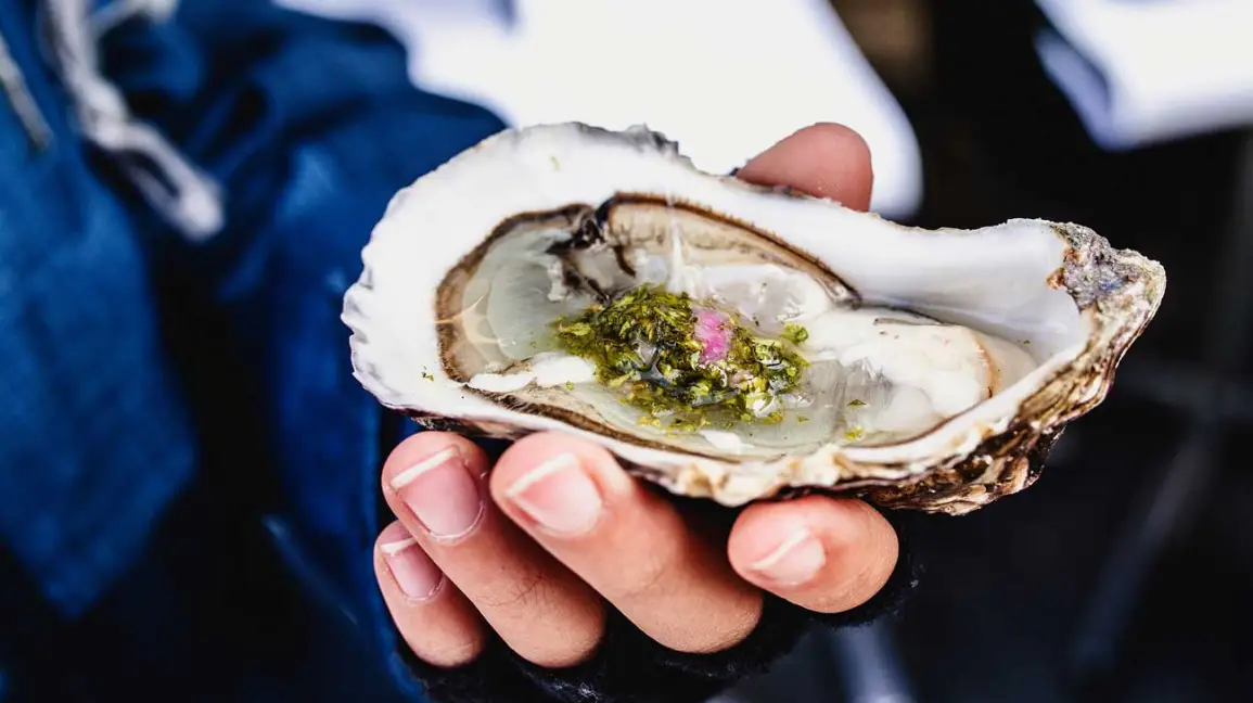 Are oysters good for you?